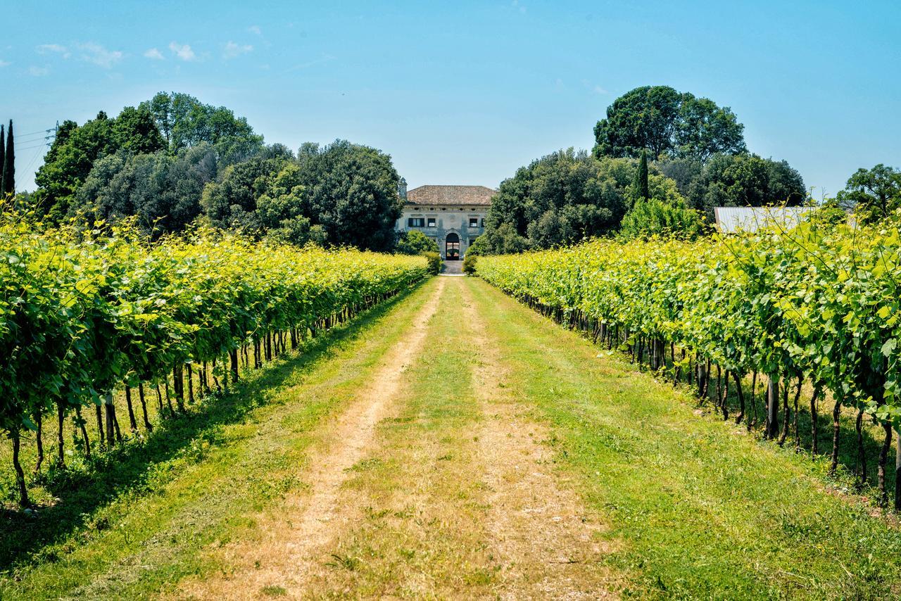 Relais Villa Sagramoso Sacchetti Verona Kültér fotó