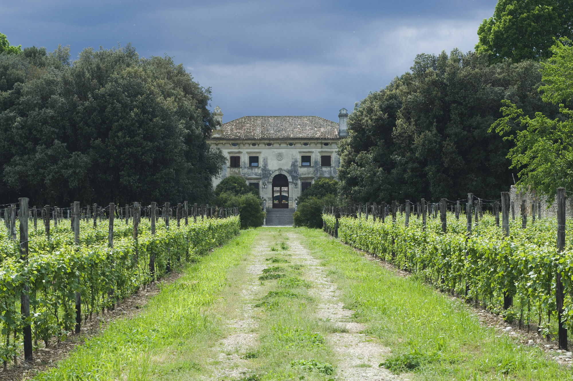 Relais Villa Sagramoso Sacchetti Verona Kültér fotó